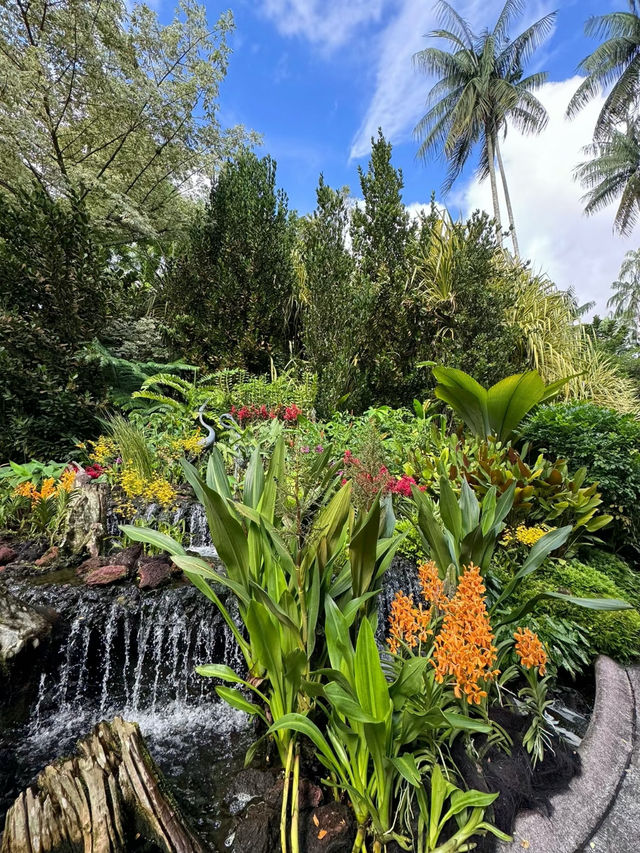 Singapore Botanic Gardens: A Serene Escape into Nature