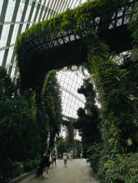 Have fun at cloud forest Singapore ❤️