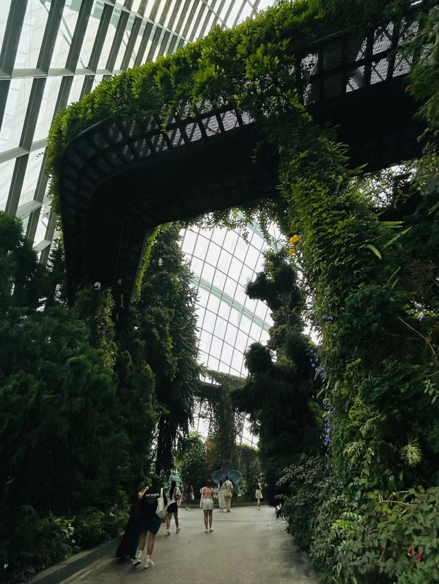 Have fun at cloud forest Singapore ❤️