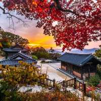 autumn in South Korea and it is goỏgeou 