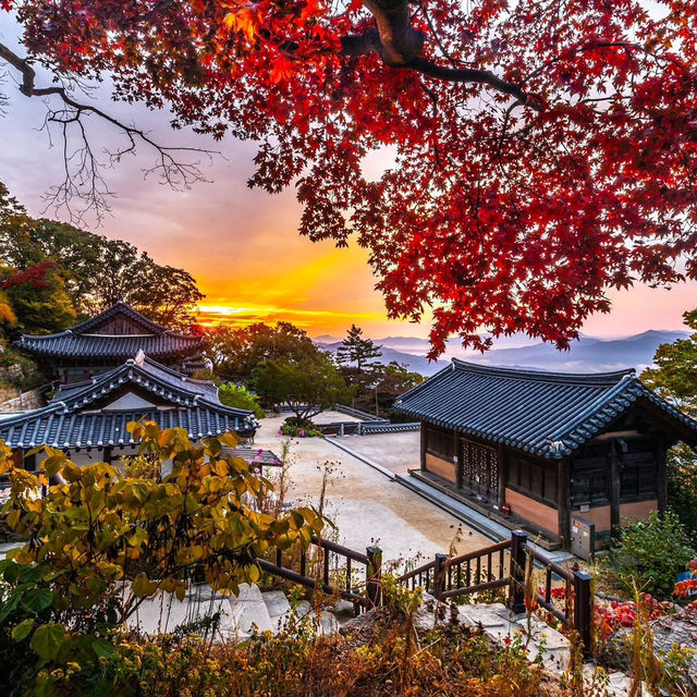 autumn in South Korea and it is goỏgeou 