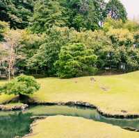 【鎌倉×建長寺】立派な庭園と坐禅体験が魅力の禅寺