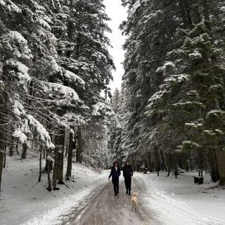 Montenegro-Zabljak 
