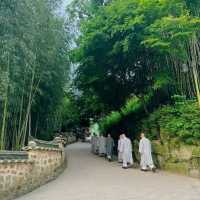 Discovering the Serenity of Beomeosa Temple