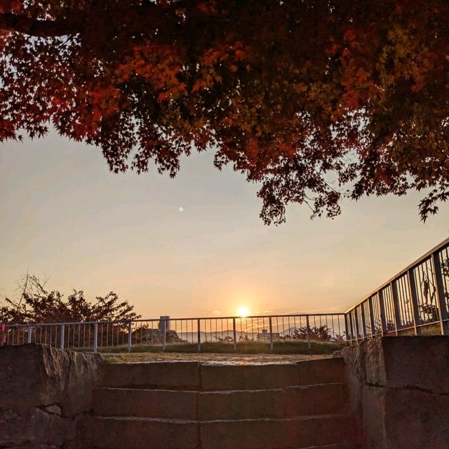 盛岡城跡的紅葉與日出，紐時評選必訪的城市第二名