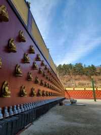 겨울 빙벽도 볼수 있는 영천 만불사🪷