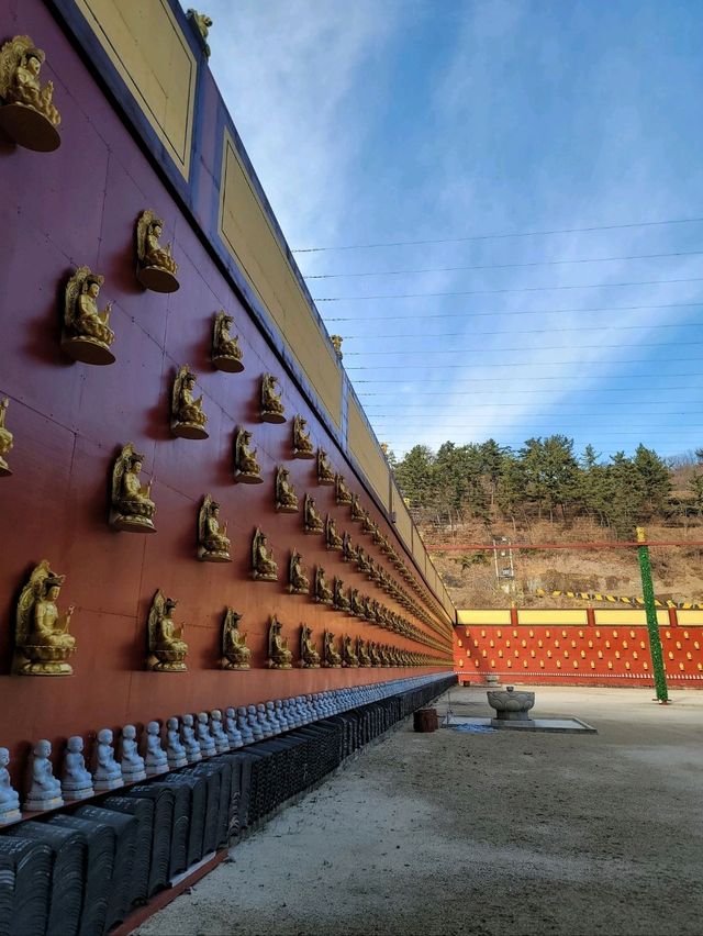 겨울 빙벽도 볼수 있는 영천 만불사🪷