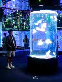 Zhengjia Polar Ocean Worldอควาเรียมสุดอลังกวางโจว