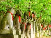 【青森県】まるで極楽浄土！高山稲荷神社の千本鳥居
