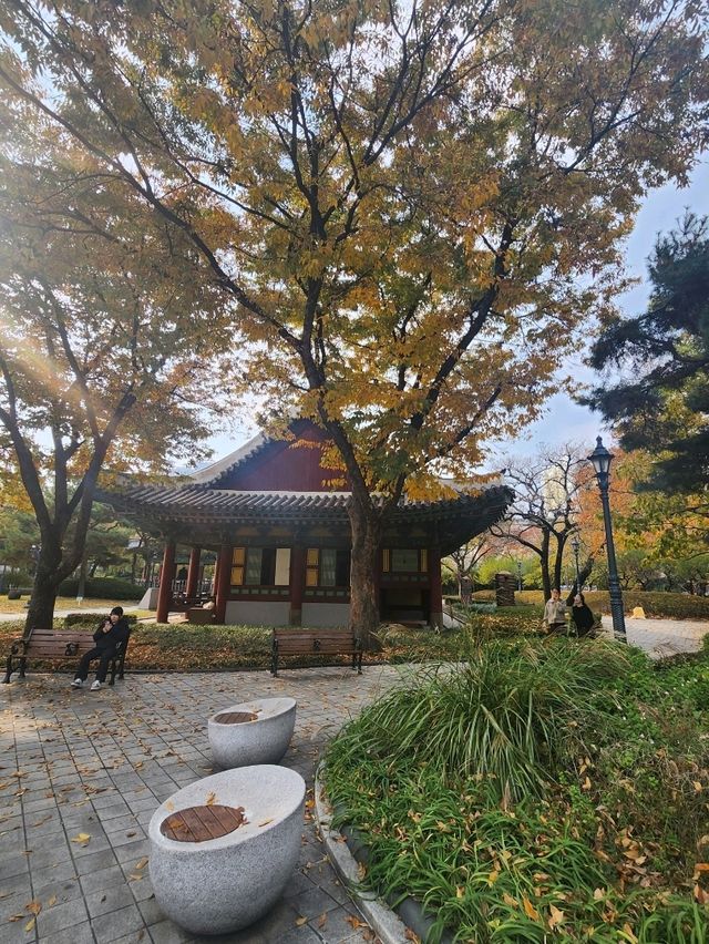 가을의 정취를 느낄수있는 대구 경상감영공원🍂