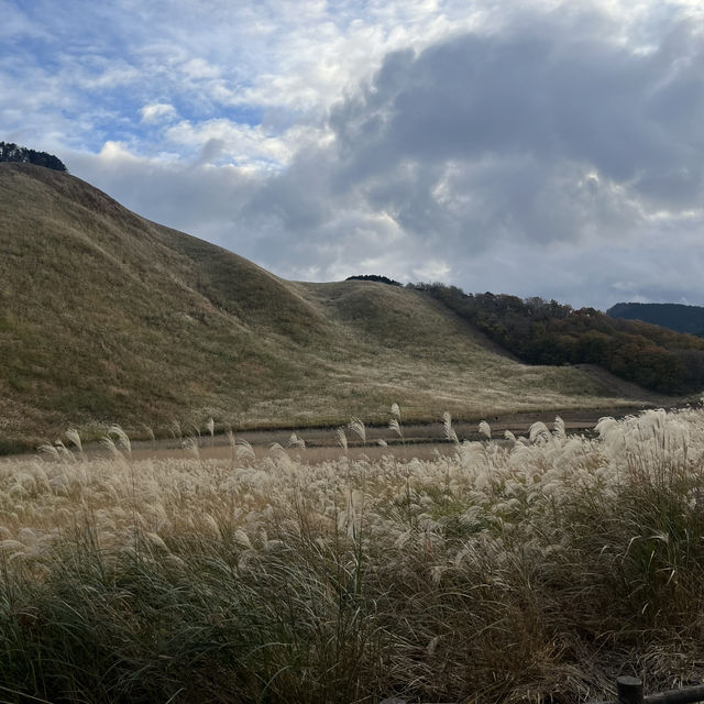 奈良県  曽爾高原