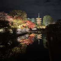 怎能抗拒「東寺夜楓」的倒影😍