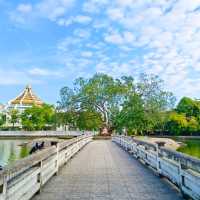 สวนโพธิธรรม วัดพระศรีมหาธาตุ