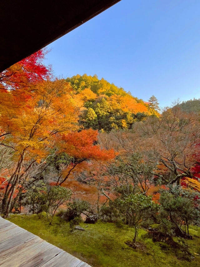 京都観光😊京都の古刹🍁世界遺産のお寺😊