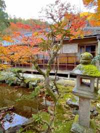 京都観光😊京都の古刹🍁世界遺産のお寺😊