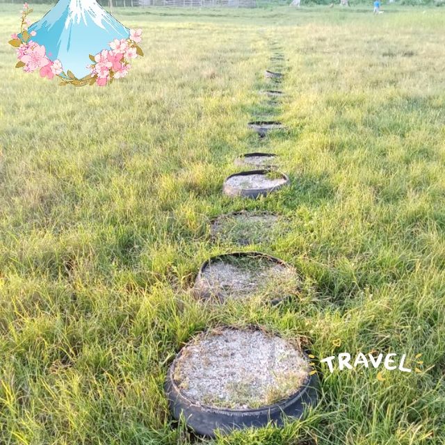 travelers 