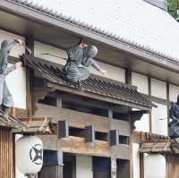 Toei kyoto japan