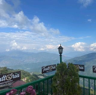🇮🇳 印度-大吉嶺 Darjeeling Happy Valley