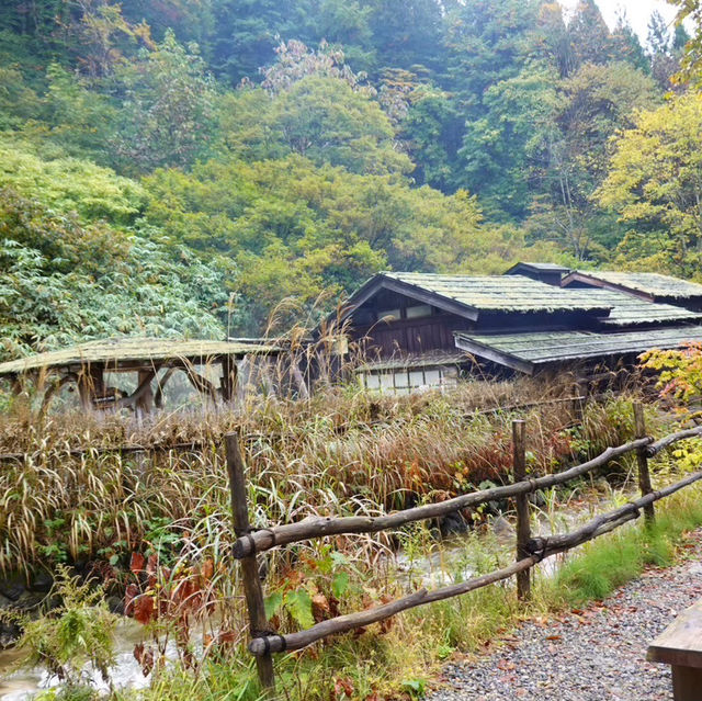 【秋田県】自然に囲まれた秘湯で温泉を楽しむ♨️