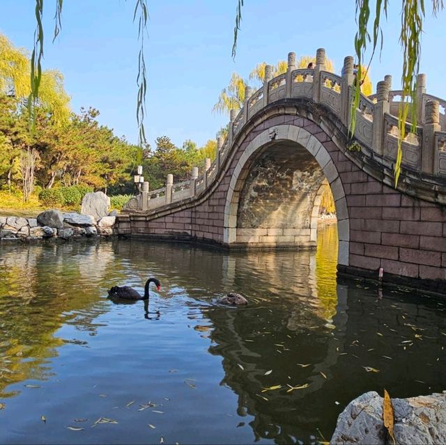 來趟圓明園的歷史與自然之旅