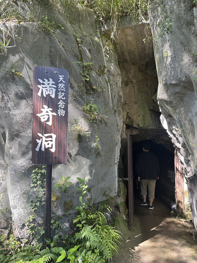 🇯🇵岡山｜遊岡山縣森林藝術祭