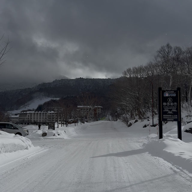 Winter Ski in Shiga Kogen Japan