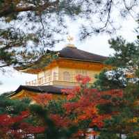 Kinkakuji Temple