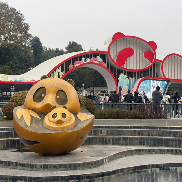 A Must-Visit for Panda Lovers 🐼