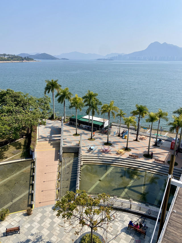 🚶‍♀️‍➡️🌸 人在花叢中｜香港賞花野餐首選海濱公園🥇🌹🌈
