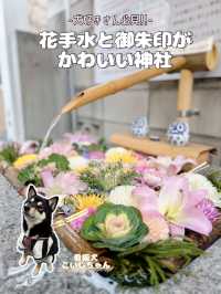 【東京】看板犬こいしちゃんに会いに行きたい🤍毎月行きたい神社⛩✨