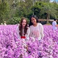 สวนดอกไม้ที่รอคอย🌻🌼🌺 ฮอกไกโด เขาใหญ่