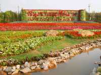 เชียงรายดอกไม้งาม สวนสาธารณะหาดนครเชียงราย
