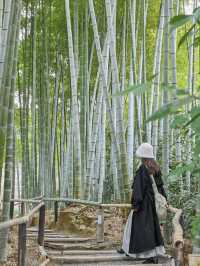 【京都/高台寺】竹林の穴場スポット！！