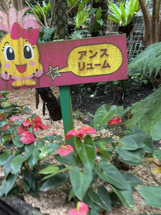 【沖縄県/名護市】雨の日も楽しい！パイナップルパークの楽しみ方