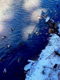 Winter Magic: Exploring the Enchanting Beauty of Jiuzhaigou National Park 