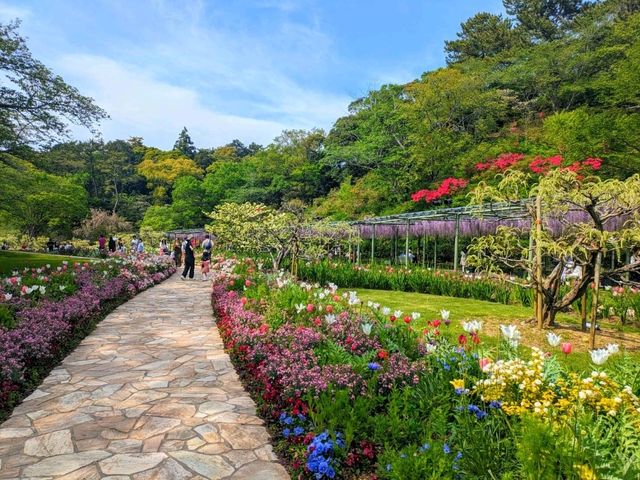 極上の花畑🌷はままつフラワーパーク