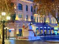 Winter Wonderland: Explore Harbin’s Snowy Streets!