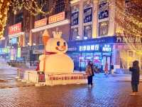 Winter Wonderland: Explore Harbin’s Snowy Streets!