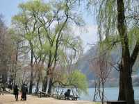 A Picturesque Escape Just Outside Seoul: Nami Island