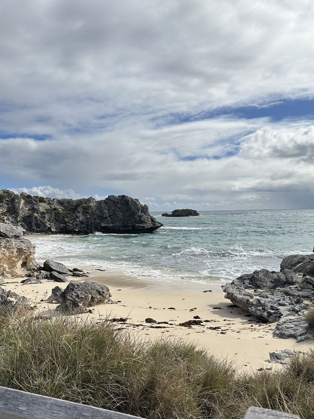 🏝️ A Perfect Day on Rottnest Island: Serene Beaches and Quokkas 