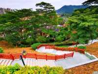 玉龍公園