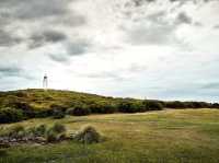 Bruny Island
