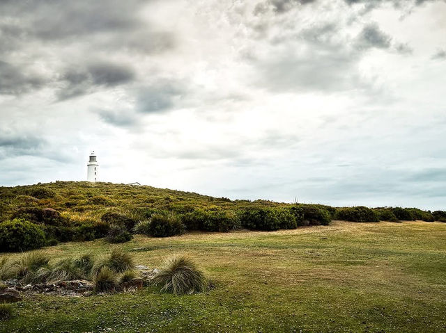 Bruny Island