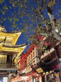 First visit to Yu Garden in Shanghai, truly mesmerizing!