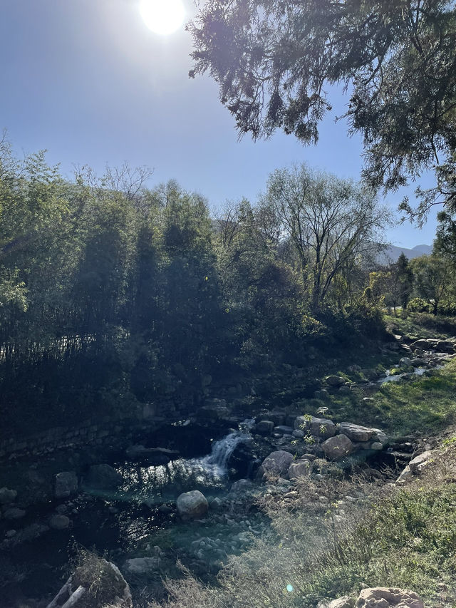 🇨🇳 Day Trip to Shaolin Temple: Where Kung Fu Legends Are Born