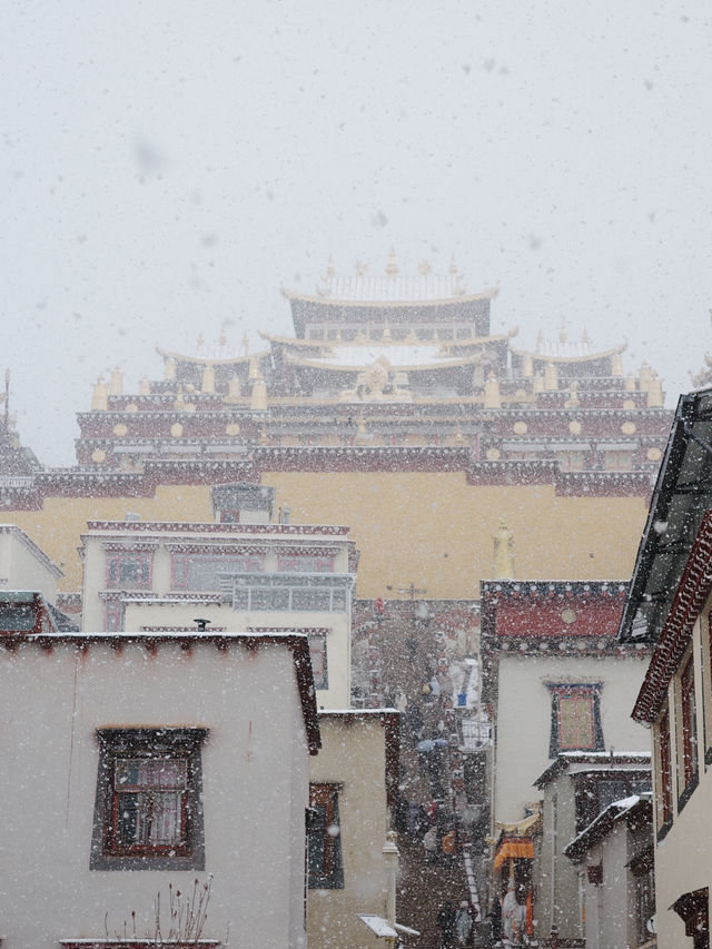 雲南香格里拉：松贊林寺遊玩攻略
