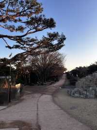 도심 한가운데 우뚝 선 해발 143m의 아기자기한 유네스코 세계문화유산 팔달산🇰🇷