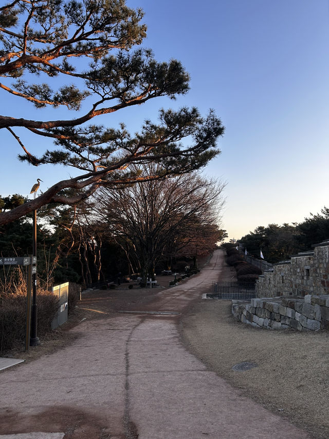 도심 한가운데 우뚝 선 해발 143m의 아기자기한 유네스코 세계문화유산 팔달산🇰🇷
