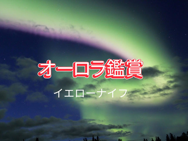 オーロラ鑑賞🌟イエローナイフ