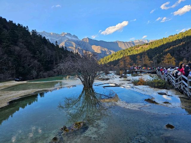 An Unforgettable Journey Through Chongqing & Chengdu ✈️🏔️🌟